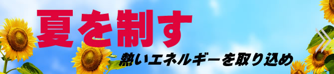 Ă𐧂@󌱕K@̑In